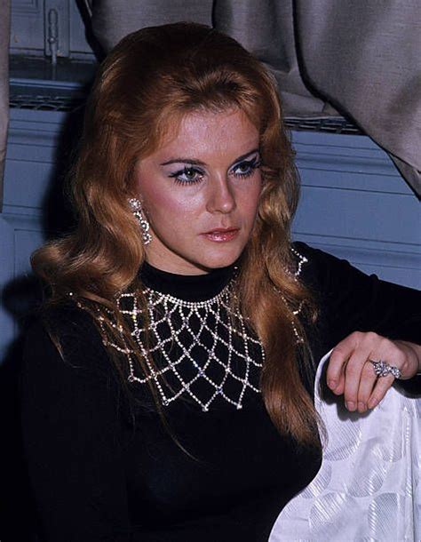 ann margret sexy|94 Ann Margret 1972 Photos & High Res Pictures